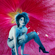 Stocking_flower_20_08x30_300p_card