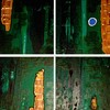 Ayahuasca_thumb