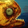 Organism_thumb