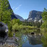 1033b-environmental_activist_card