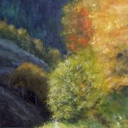 07135lateafternoonsunshine300_card