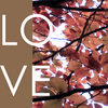 Love_2_thumb