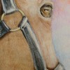 100_1356_thumb