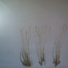 Les_fleurs_d_automne8_thumb