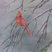 Cardinalinthewinter_card