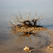 Le-miroir-magique_card