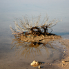 Le-miroir-magique_thumb
