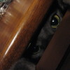 Squirt_in_a_drawer_003_thumb