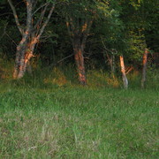 Etter_brann_036_card