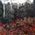 Passeio_dos_caes_e_do_fogo_tiny_square