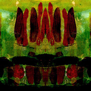 Fire1_card