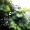 Caught_in_the_moment_by_tatteredheartxx_thumb