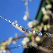 String_of_pearls_card