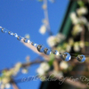 String_of_pearls_thumb