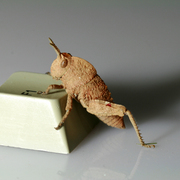 F1_card