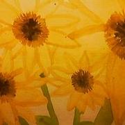 Pic4_card