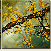 455a_card