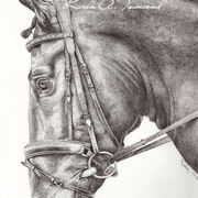 Dobbin_wm_card