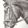 Dobbin_wm_thumb