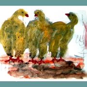 Aves_card