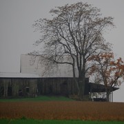 Dsc_0076_card