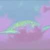 Turtle_1_wm_thumb
