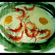 Comida17_card