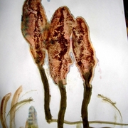 Img_1869_card