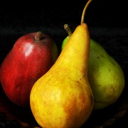Passions_i_card