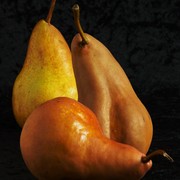 Passions_2_007