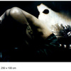 Entzweb2_thumb