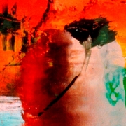 Aaprimal002_card