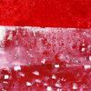 Water-lilies_thumb