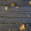 Autumnpoem_thumb