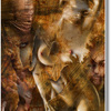Fade_to_dark_brown_thumb