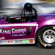 Race_cobra_196something_card