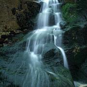 Img_1246-1__medium__card