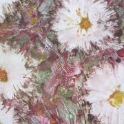 Daisys_card