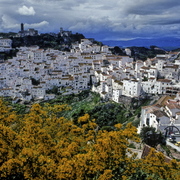 Casales_spein_card