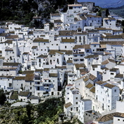 Casales_spein-2_card
