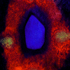 Noyouyesme_copy_thumb
