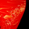 Z_aparatu_przemka_czerwiec2007_254_thumb