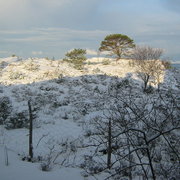 Img_0777_card