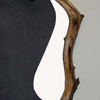 Untitled1_thumb