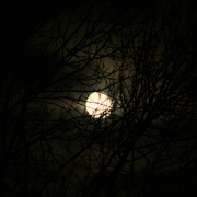 Img_1807_card