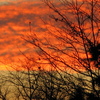 Img_1727_thumb