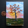 149___a_lone_fall___thumb
