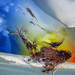 20_passeurs_115x115_square