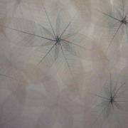 Cocoondetail_card