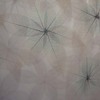 Cocoondetail_thumb